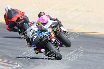 media/Mar-10-2024-SoCal Trackdays (Sun) [[6228d7c590]]/9-Turn 8 Backside (1150am)/